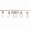 Craftmade Lighting Chicago 5 - Light Vanity in  Brushed Polished Nickel - 3 of 4
