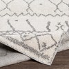 Hauteloom Pembroke High Pile  Area Rug - 4 of 4