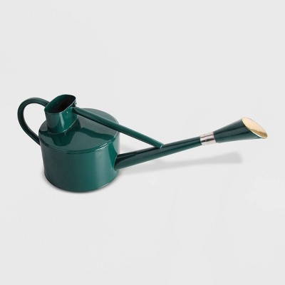 9" Long Spout Steel Watering Can Green - Esschert Design