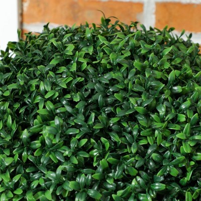Set of 2 Green Faux Boxwood Topiary Plants in Black Pots