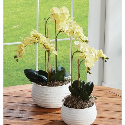 Handcrafted 30" Yellow Orchid in Decorative Pot