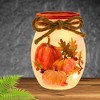 Stony Creek 4.0 Inch Pumpkins Pre-Lit Small Jar Fall Thanksgiving Novelty Sculpture Lights - 2 of 3