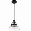 Craftmade Lighting 1 - Light Pendant in  Flat Black - 3 of 4