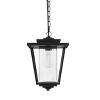 Elegant Lighting York 10 Inch Outdoor Pendant in Black - 2 of 4