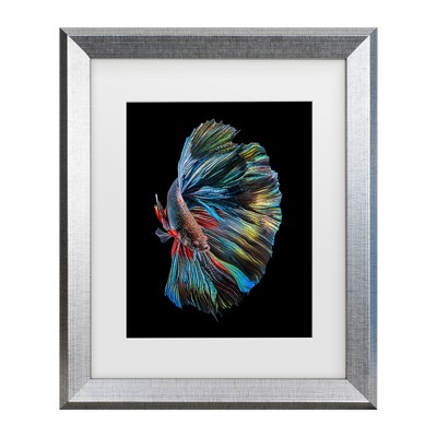 Andi Halil The Betta Fish Matted Framed Art : Target