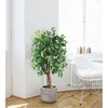 Artificial Ficus Tree, Lush Faux Plant with Black Pot, 2-Trunk Fake Indoor Outdoor Decor - 4 of 4