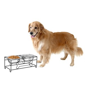 Elevated Dog and Cat Bowls - Decorative 6.5-Inch-Tall Raised Stand with 2 Stainless-Steel Food and Water Bowls - Hold 40oz Each by PETMAKER (Black) - 1 of 4