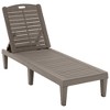 Maliang 2-Piece Outdoor Chaise Lounge Chair with Adjustable Backrest for Patio, Poolside or Beach - 3 of 4