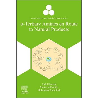 α-Tertiary Amines En Route to Natural Products - (Visual Guides to Natural Product Synthesis) (Paperback)