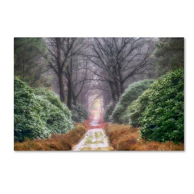 22" x 32" Rhododendron Lane by Cora Niele - Trademark Fine Art