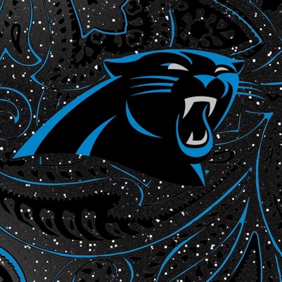 carolina panthers