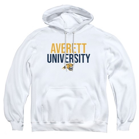 LOGOVISION Quinnipiac Univesity Official