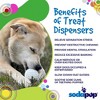 Golf Ball PUP-X Rubber eDispenser Treat Dispenser & Enrichment Toy - 4 of 4