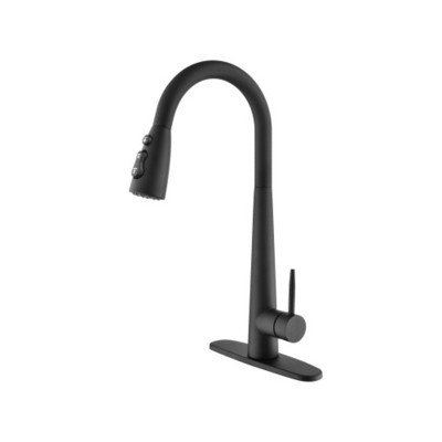 Modern Stainless Steel Single Handle High Arc Kitchen Faucet with Pull-Out Sprayer and Deck Plate