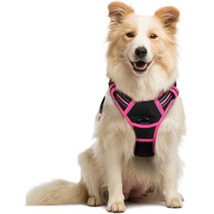 rabbitgoo Dog Harness No Pull with 2 Leash Clips, Control Handle for Large Dogs, Black & Hot Pink, M - 1 of 1