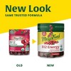 MegaFood Vitamin B12 Energy Methyl B12 Supports Cellular Energy Vegan Organic Gummies - 70ct - 4 of 4