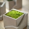 Slickblue Architectural Cube Cement Planter, Ladder Accent, Indoor Decorative Pot, Styles I, II, III, 6.75" - 2 of 3
