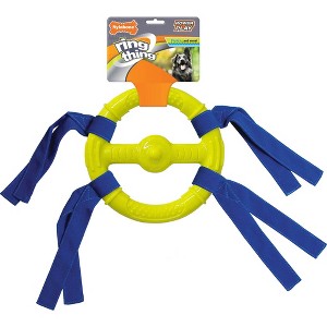 Nylabone Power Play Ring Thing - 1 of 1