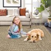 Modern Braided Print Area Rug Machine Washable Rug Stain Resistant Indoor Carpet With Non-Slip Backing Non Shedding Low Pile Floor Cover - 4 of 4
