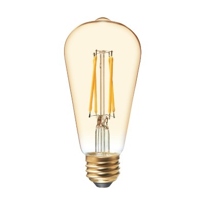 General Electric 2pk 40W VintaAline ST19 Filament Amber LED Light Bulb White