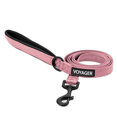 Cat leash hot sale target