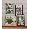 tagltd Butterfly Wall Art 23.62 x 15.75 x 1 Inches. - 2 of 2