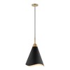Nuvo Lighting Tango 1 - Light Pendant in  Matte Black/Burnished Brass - 4 of 4