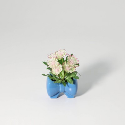 Luckygreenery Mini Faux Achillea Plant in Bow Planter