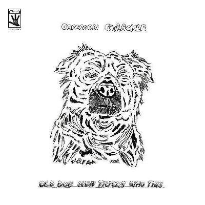 Common Grackle - Old Dog New Tricks Who This (Vinyl)