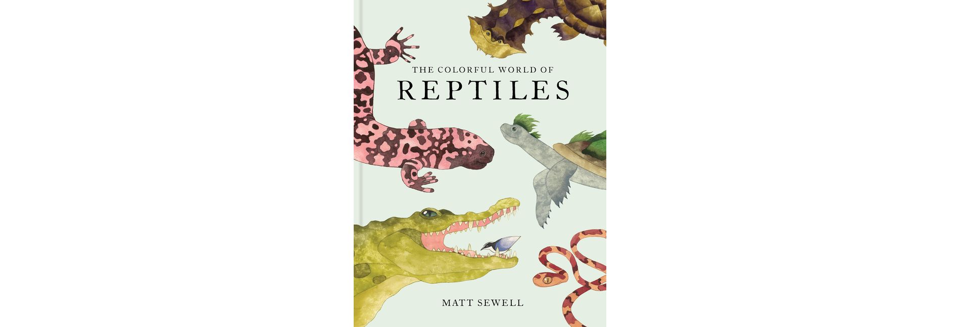 The Colorful World of Reptiles - by  Matt Sewell (Hardcover)