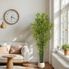 KTMBDW Artificial Bamboo Tree for Indoor Home Décor, Fake Bamboo Floor Plant with Natural Trunks, Black Nursery Planter, 2Pcs - 2 of 4