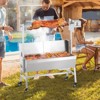 VEVOR Rotisserie Grill with Windscreen, BBQ Whole Pig Lamb Goat Charcoal Spit Grill, 35 Inch 90 Lbs Capacity, Silver - 2 of 4