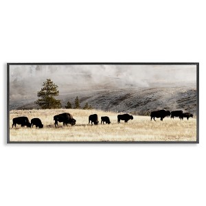 Stupell Industries Grazing Bison Foggy Countryside, 30" x 13" - 1 of 4