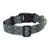 Country Brook Petz Deluxe Dog Collar - Abstract Collection - Made In The U.S.A. - 3 of 4