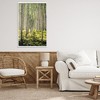 Stupell Industries Small And Tall Birch Forest Framed Giclee Art - 3 of 4