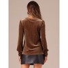 INSPIRE CHIC Women's Velvet Casual Round Neck Puff Long Sleeve Blouse - 3 of 4