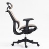 Dolonm Ergonomic Home Office Chair with Adjustable Lumbar & Headrest - Breathable Mesh Back, 4D Armrests, 90°-120° Recline - 3 of 4