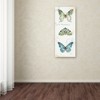 Trademark Fine Art -Lisa Audit 'My Greenhouse Butterflies VI' Canvas Art - 3 of 3