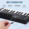 25-Key USB MIDI Keyboard Controller with 8 Pads & Knobs - DAW Integration & OLED Display for Music Production - 3 of 4