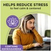 Dramamine Advanced Herbals Nausea Relief & Stress Support Lozenge - 20ct - 4 of 4