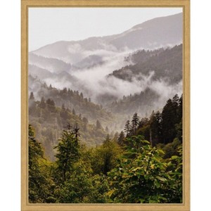 Amanti Art Great Smoky Mountains by Del Mundo Imagery Canvas Wall Art Print Framed - 1 of 4