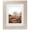 Trademark Fine Art Philippe Sainte Laudy Resilience Matted Framed Art - 2 of 4