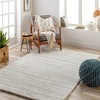 Mark & Day Boyer Woven Indoor Area Rugs - image 2 of 4