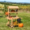 Sunnydaze Country Market Flower Cart Display Stand - 49.25” H - 4 of 4