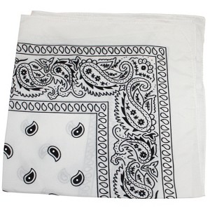 Pack of 200 Paisley Cotton Bandanas Novelty 22 in Headwraps - Wholesale - 1 of 1