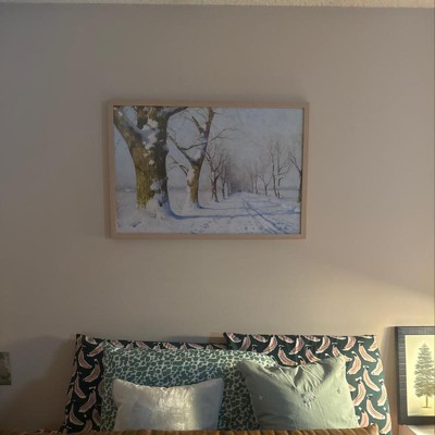 Guest review image 1 of 1, zoom in