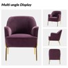 Odo Upholstered Accent Chair Velvet Comfy Living Room  Arm Chair | Karat Home - 4 of 4