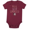 NCAA Florida State Seminoles Infant Toddler Boys' 3pk Bodysuit - 3-6M - 3 of 4