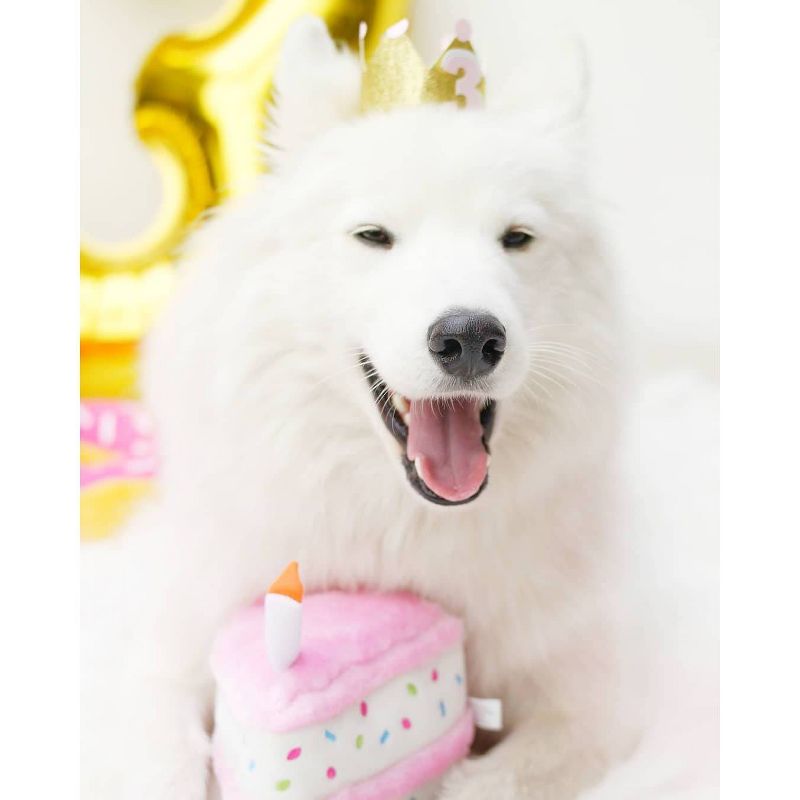 ZippyPaws Birthday Cake Dog Toy, 4 of 12