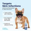 Vetnique Dermabliss Dog Skin Infection Spray - 8 fl oz - 3 of 4